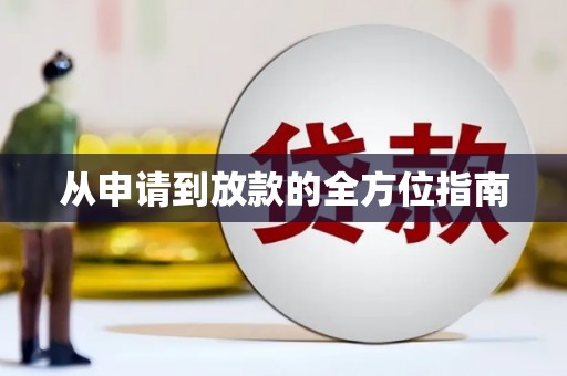 莱西从申请到放款的全方位指南