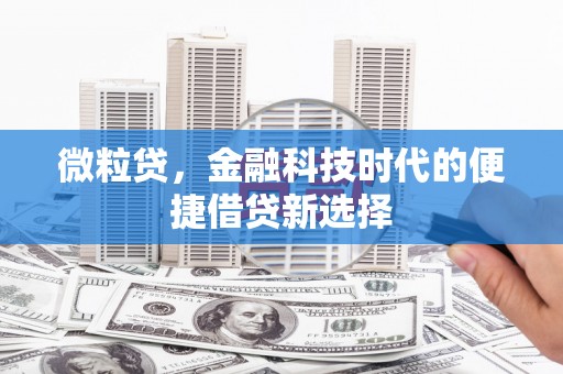莱西微粒贷，金融科技时代的便捷借贷新选择