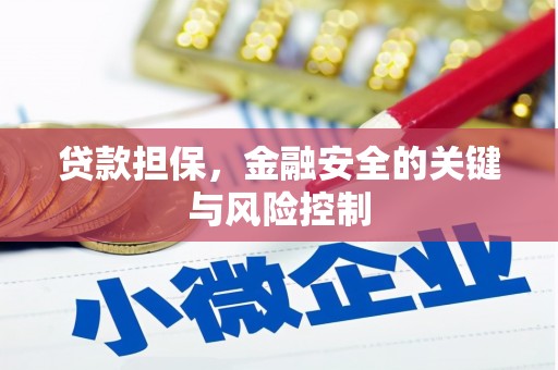 莱西贷款担保，金融安全的关键与风险控制