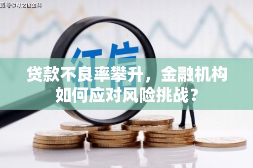 莱西贷款不良率攀升，金融机构如何应对风险挑战？