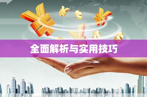 莱西全面解析与实用技巧