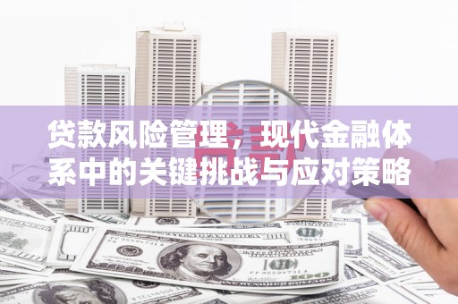 莱西贷款风险管理，现代金融体系中的关键挑战与应对策略