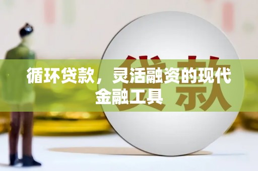 莱西循环贷款，灵活融资的现代金融工具