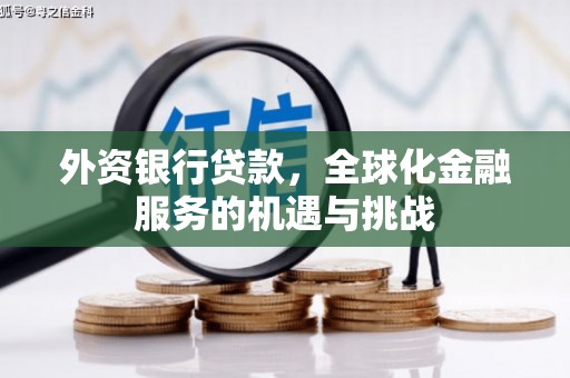 莱西外资银行贷款，全球化金融服务的机遇与挑战