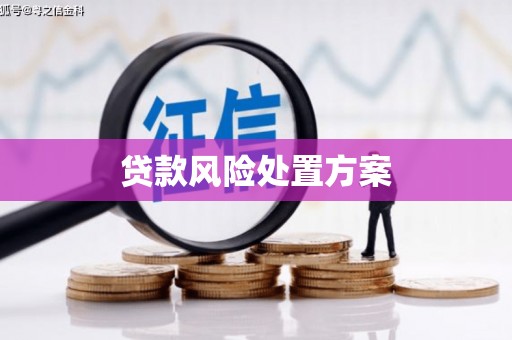 莱西贷款风险处置方案