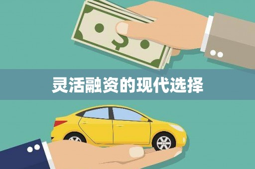 莱西灵活融资的现代选择