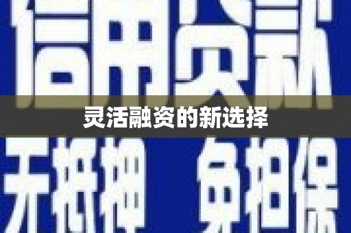 莱西灵活融资的新选择