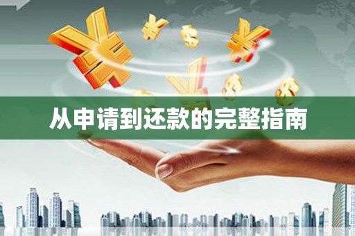莱西从申请到还款的完整指南