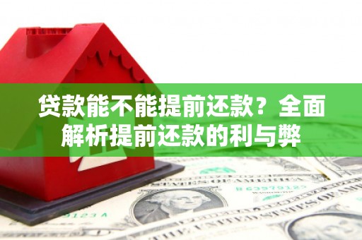 莱西贷款能不能提前还款？全面解析提前还款的利与弊