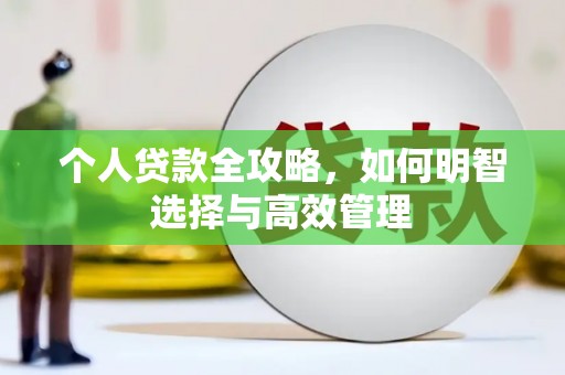 莱西个人贷款全攻略，如何明智选择与高效管理