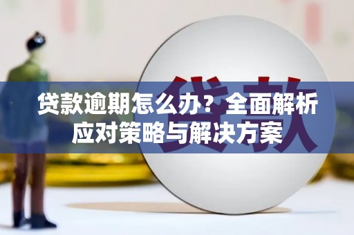 莱西贷款逾期怎么办？全面解析应对策略与解决方案