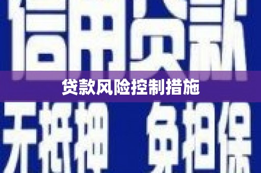 莱西贷款风险控制措施