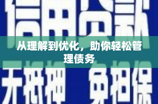 莱西从理解到优化，助你轻松管理债务