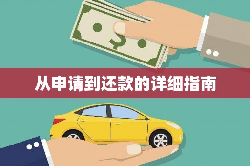 莱西从申请到还款的详细指南