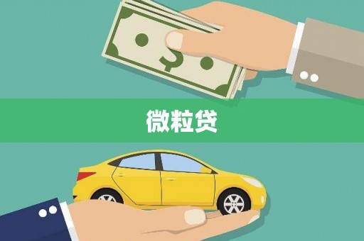 莱西微粒贷