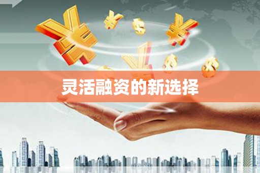 莱西灵活融资的新选择