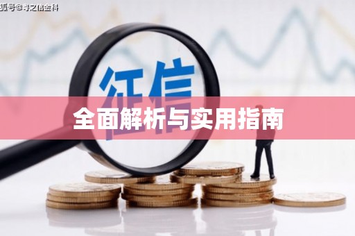 莱西全面解析与实用指南