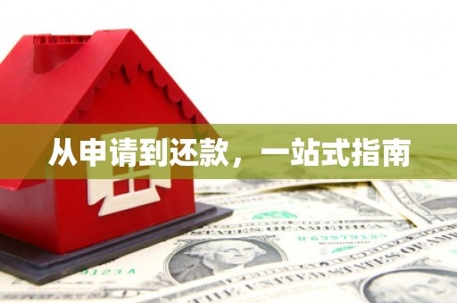 莱西从申请到还款，一站式指南
