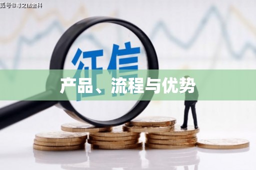 莱西产品、流程与优势