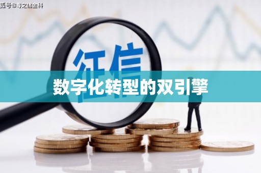 莱西数字化转型的双引擎