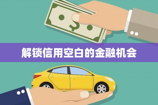 莱西解锁信用空白的金融机会