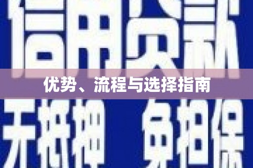 莱西优势、流程与选择指南