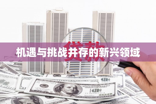 莱西机遇与挑战并存的新兴领域