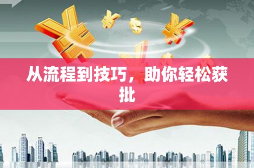 莱西从流程到技巧，助你轻松获批