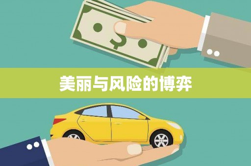 莱西美丽与风险的博弈