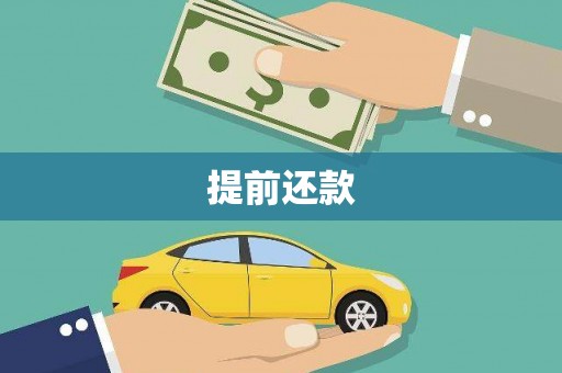 莱西提前还款