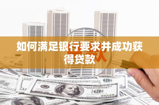 莱西如何满足银行要求并成功获得贷款