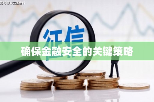 莱西确保金融安全的关键策略