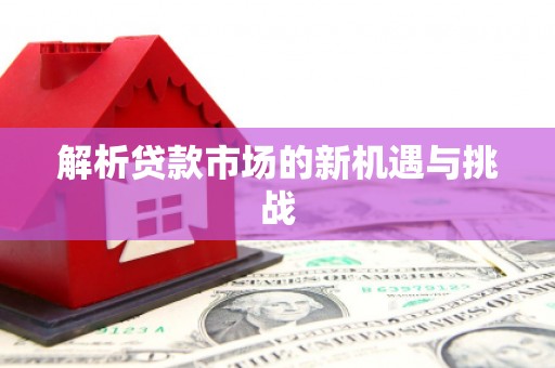 莱西解析贷款市场的新机遇与挑战